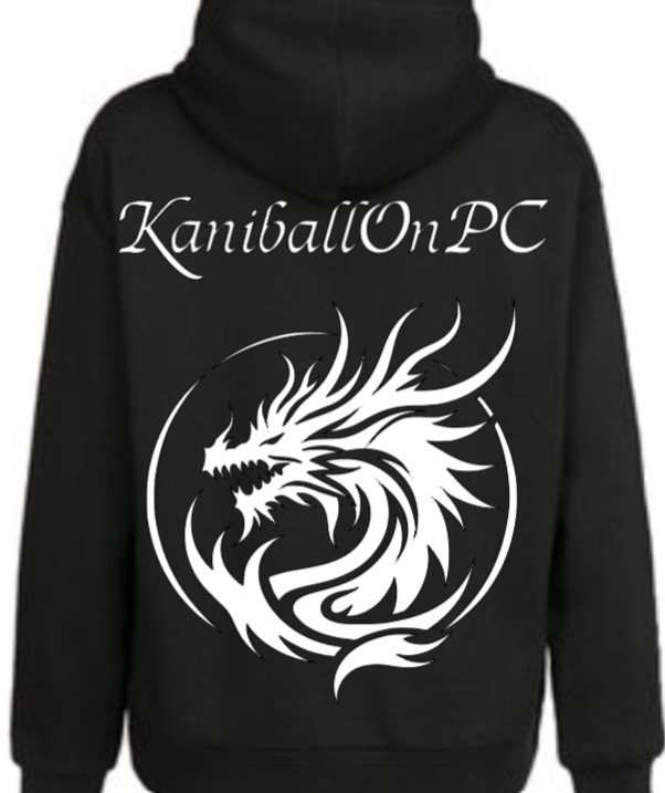 Dragon-hoodie